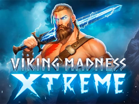 Viking Madness Xtreme game screenshot