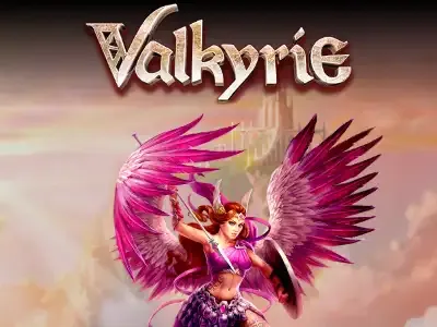 والکری game screenshot
